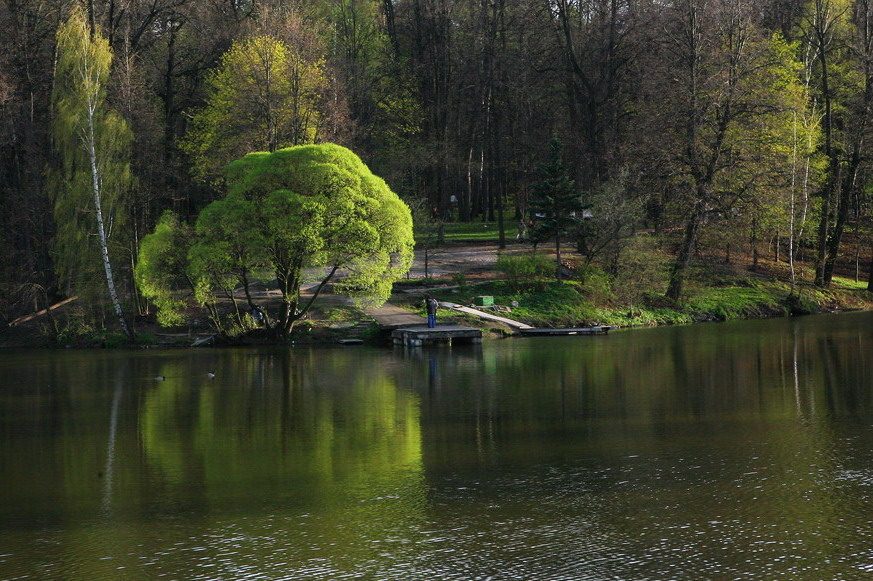 фото "Вуаль" метки: пейзаж, природа, весна