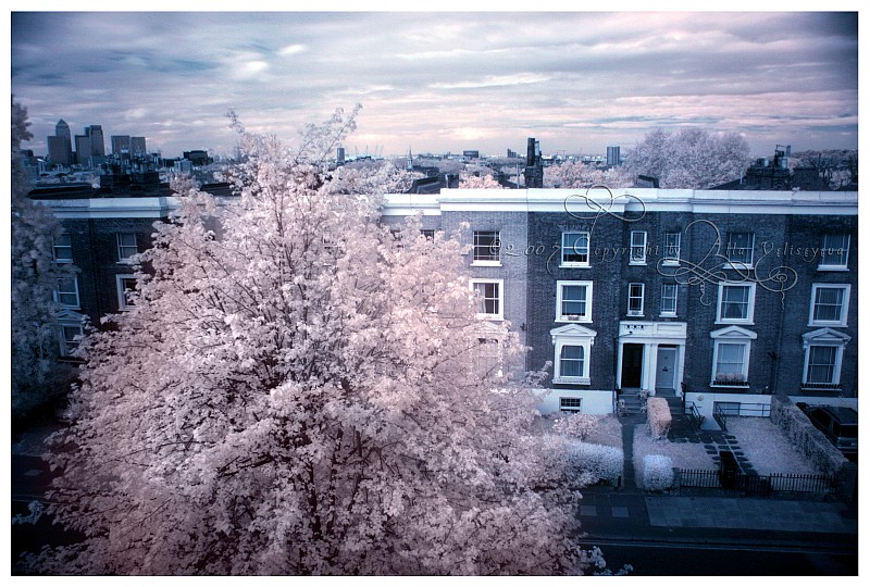 photo "IR - London - View" tags: architecture, nature, landscape, flowers