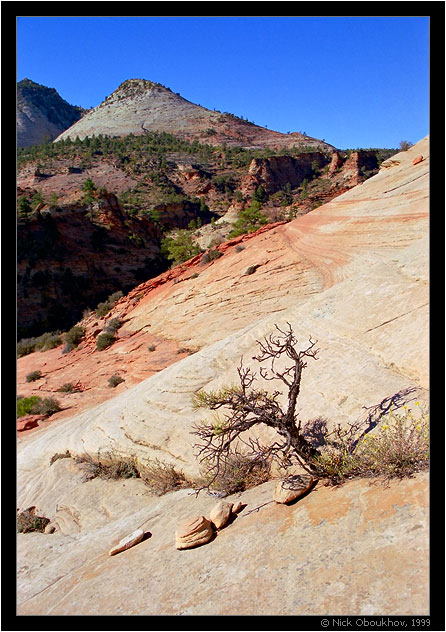 фото "Zion National Park / 057-029" метки: пейзаж, путешествия, Северная Америка, горы, скалы