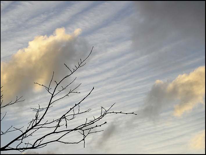 photo "Autumn motive" tags: landscape, autumn