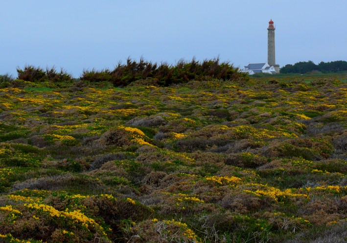 photo "Lighthouse and moor" tags: landscape, travel, Europe