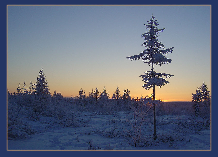 фото "Тихий вечер" метки: пейзаж, зима, лес