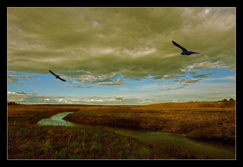 фото "Пролетая над руслом реки" метки: пейзаж, природа, 