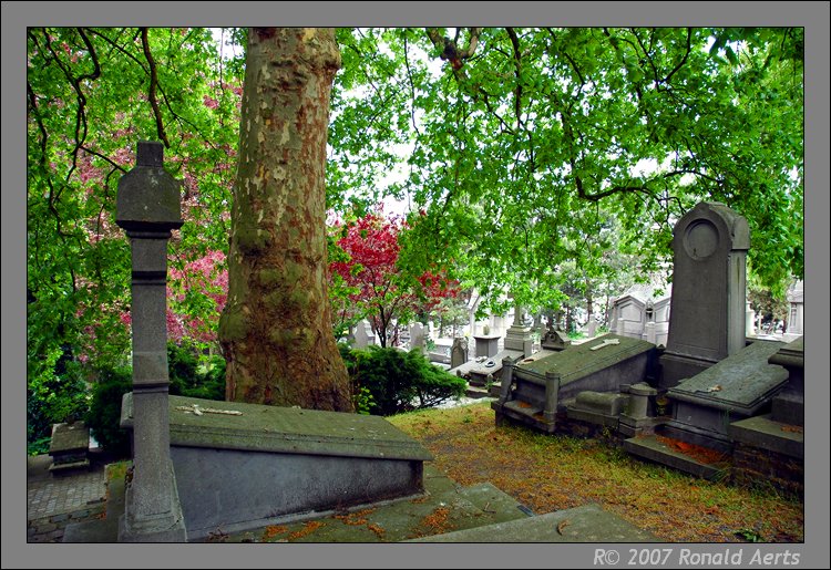 photo "Very old church court" tags: travel, Europe