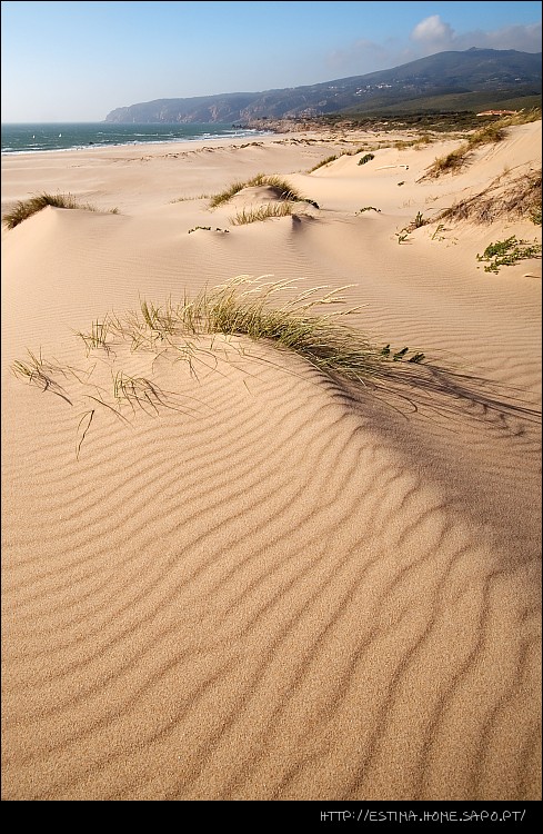 photo "Ripples" tags: landscape, summer