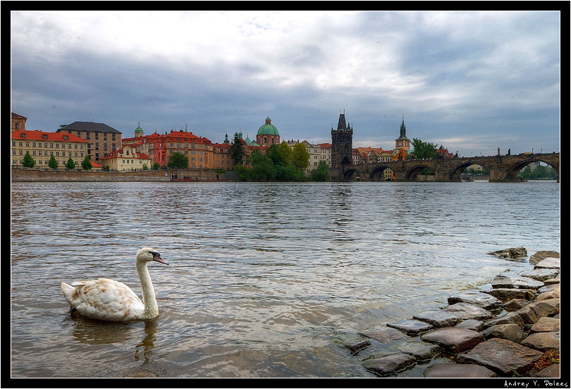 photo "***" tags: architecture, nature, landscape, wild animals