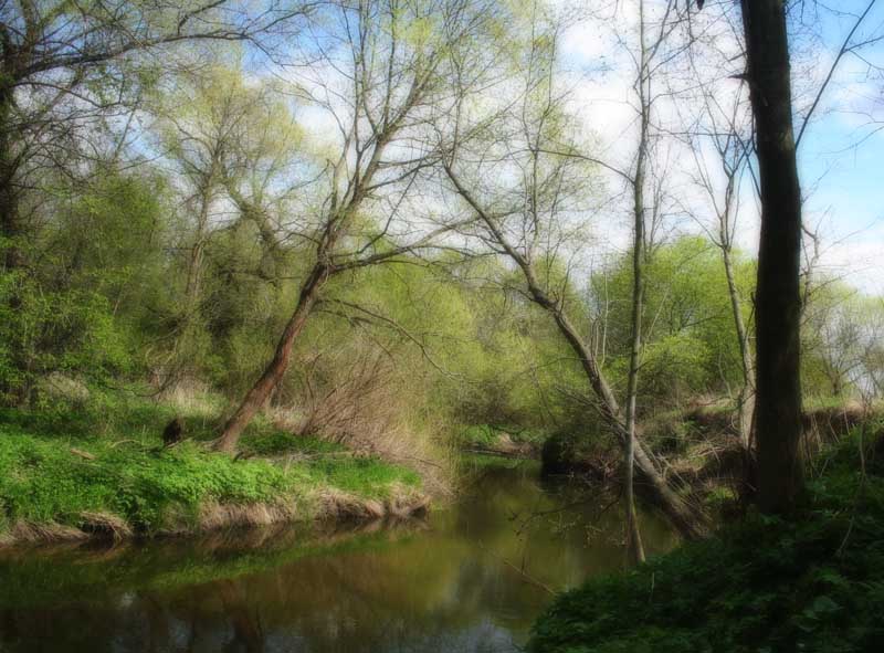 фото "Речка" метки: пейзаж, вода, лес
