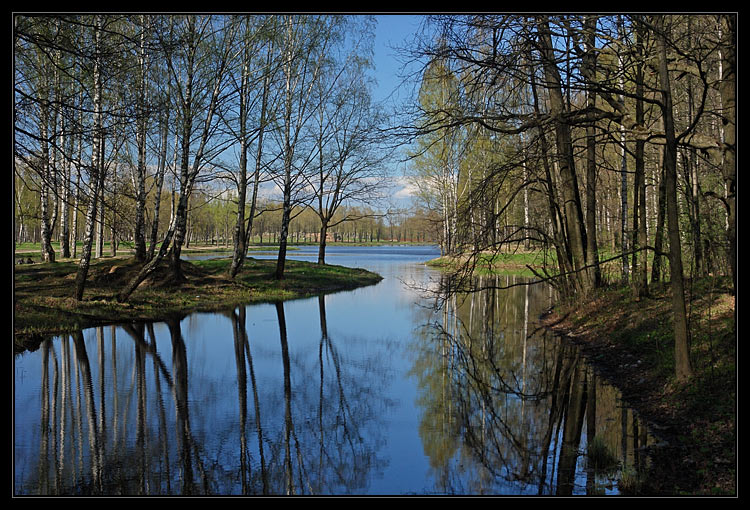 фото "Петродворец. Английский парк" метки: пейзаж, весна