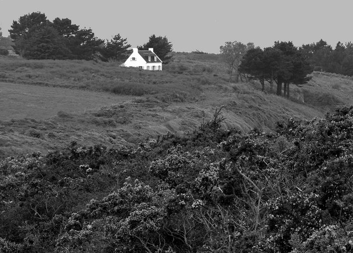 photo "White house in the moor" tags: landscape, black&white, 