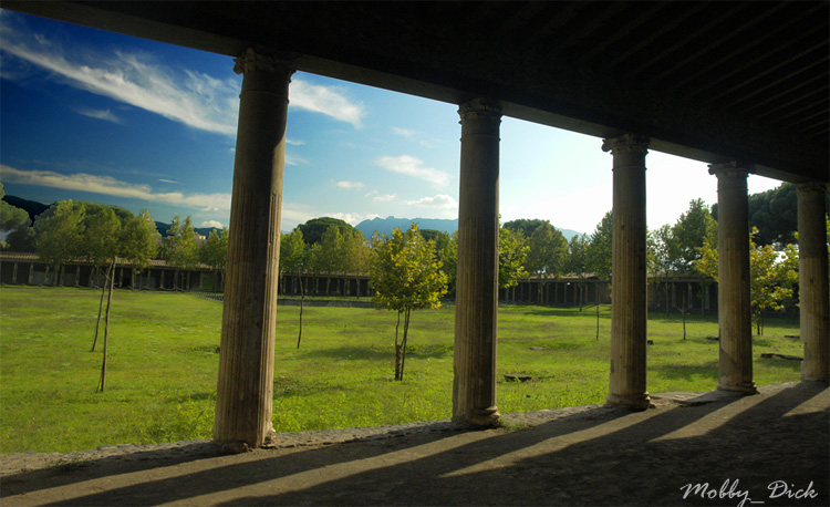 photo "Pompei - Palestra grande" tags: travel, Europe