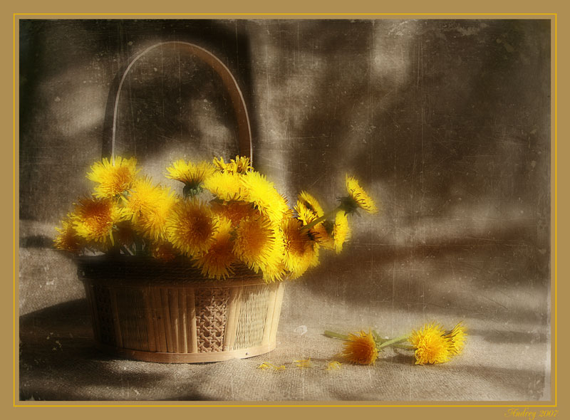 photo "#####" tags: still life, 