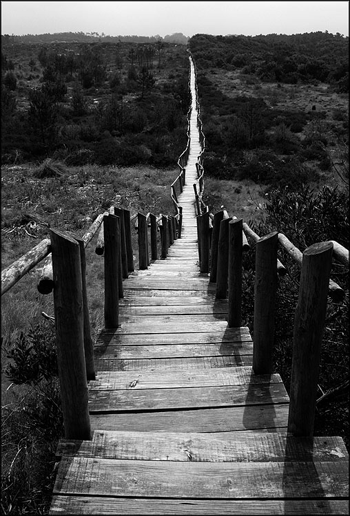 photo "Long way" tags: landscape, black&white, 