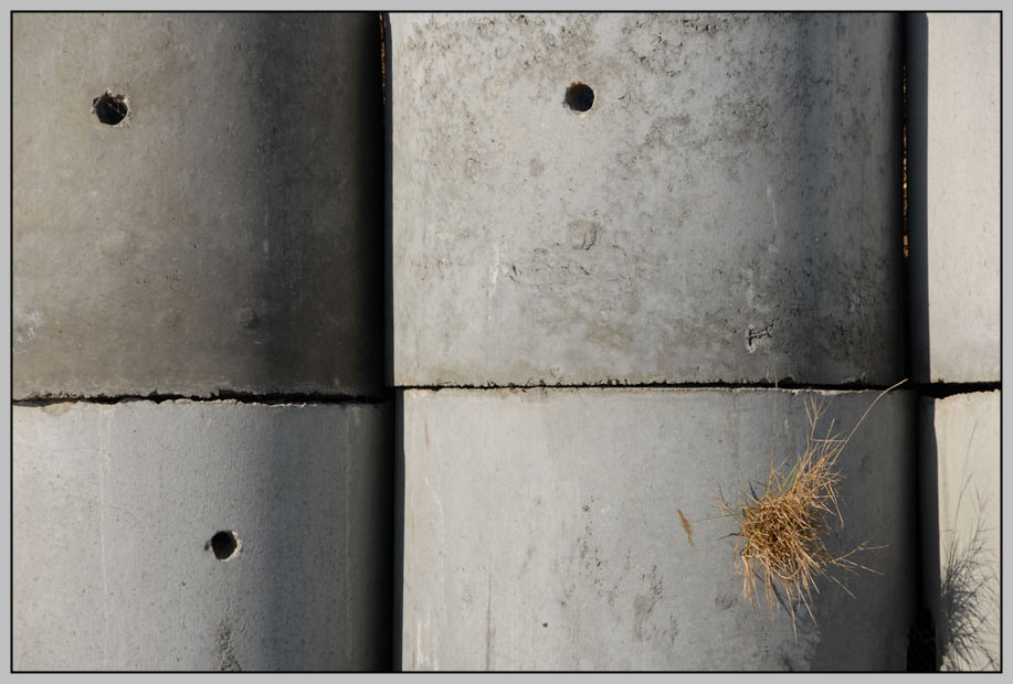 photo "to differ" tags: abstract, 