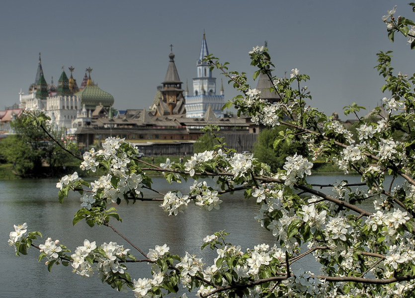 фото "Весна в Измайловском парке" метки: архитектура, пейзаж, 