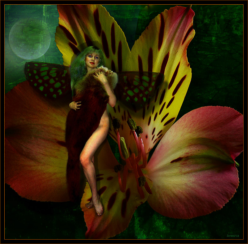 photo "Moon elf" tags: montage, 