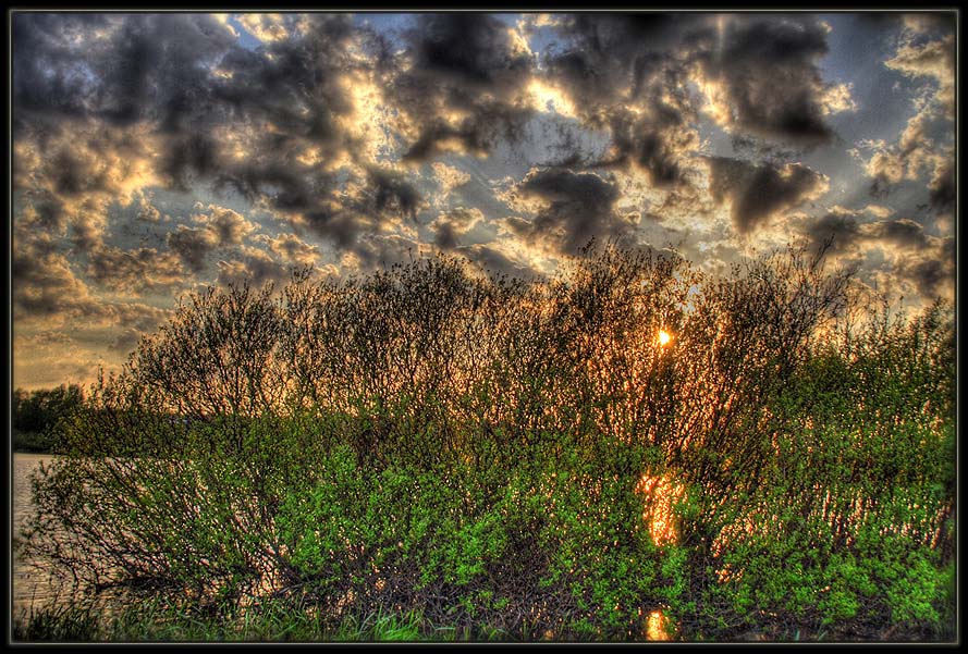 photo "sun trees" tags: landscape, spring, sunset