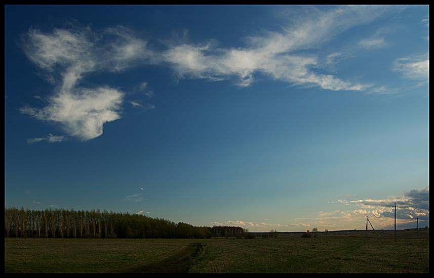 photo "evening" tags: landscape, spring