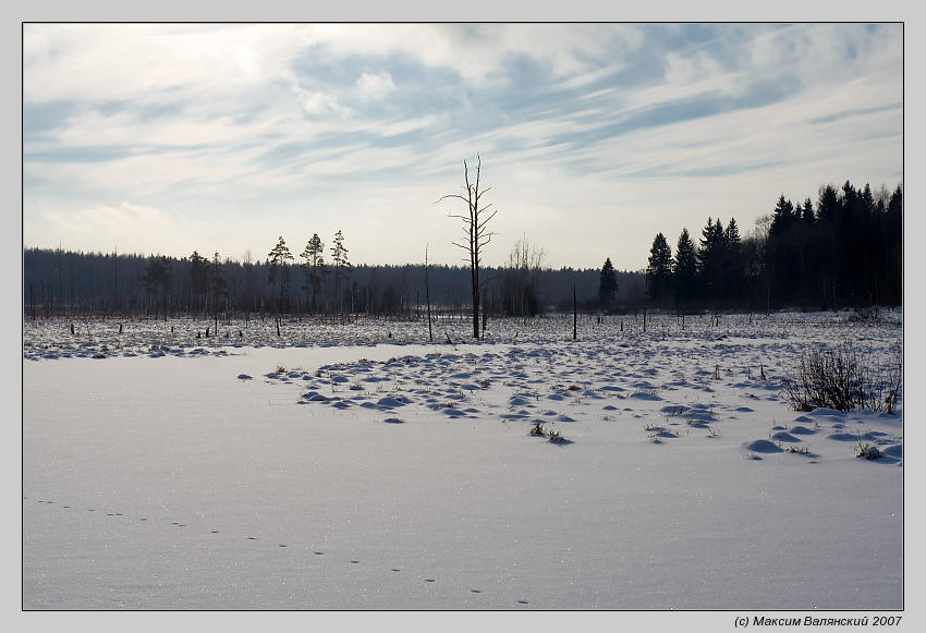 photo "Swamp" tags: landscape, winter