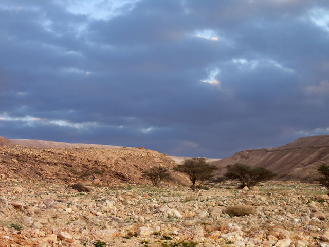 фото "Закат. Малый кратер. Каменная пустыня Негев." метки: пейзаж, весна, горы