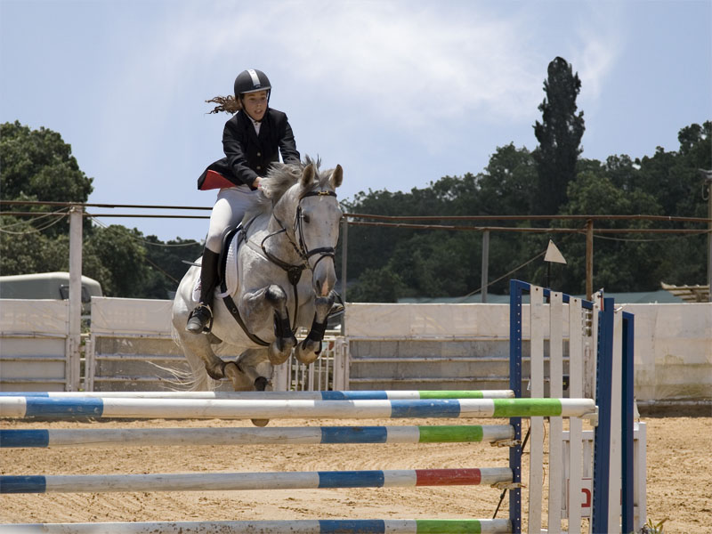 фото "26118 Flight on a white horse" метки: спорт, 