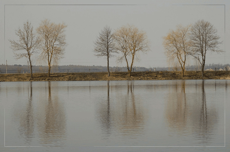 photo "Pairs" tags: landscape, spring, water