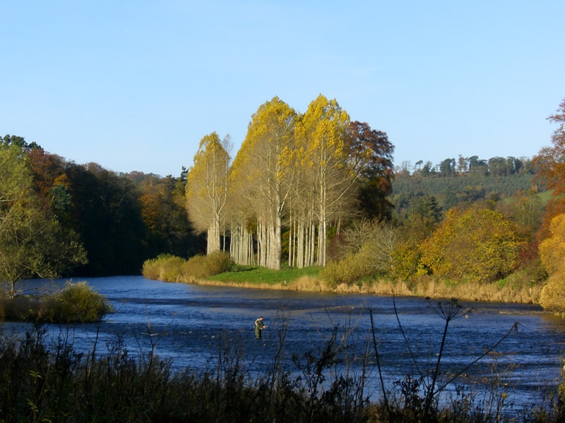 photo "Fisherman on the Tweed" tags: landscape, nature, water