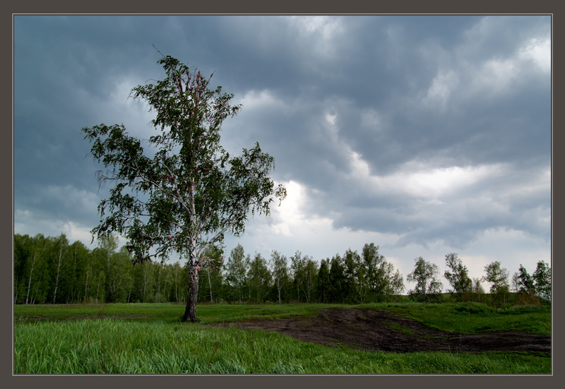 photo "***" tags: landscape, spring