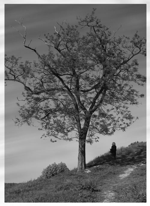 photo "Alone" tags: black&white, 