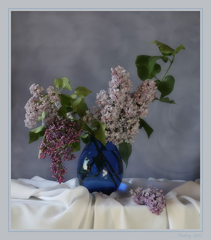 photo "Lilac" tags: still life, 