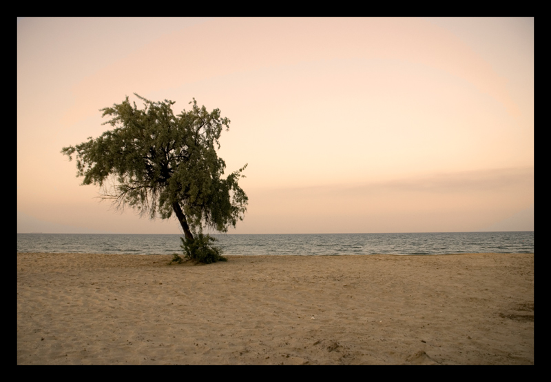 photo "Alone... by the sea" tags: landscape, water