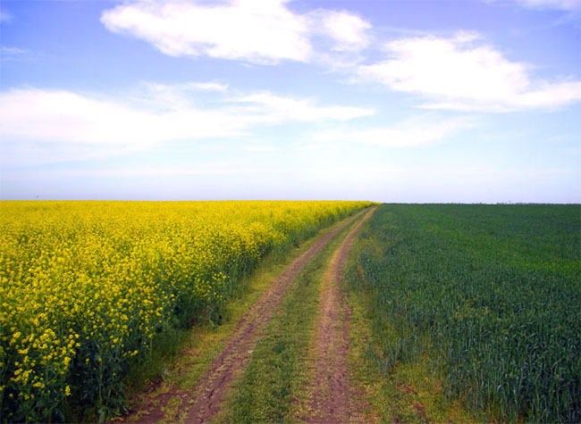 photo "***" tags: landscape, spring