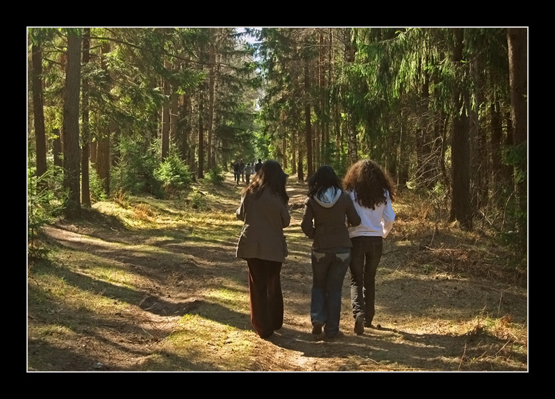 фото "Три сестры" метки: пейзаж, разное, лес