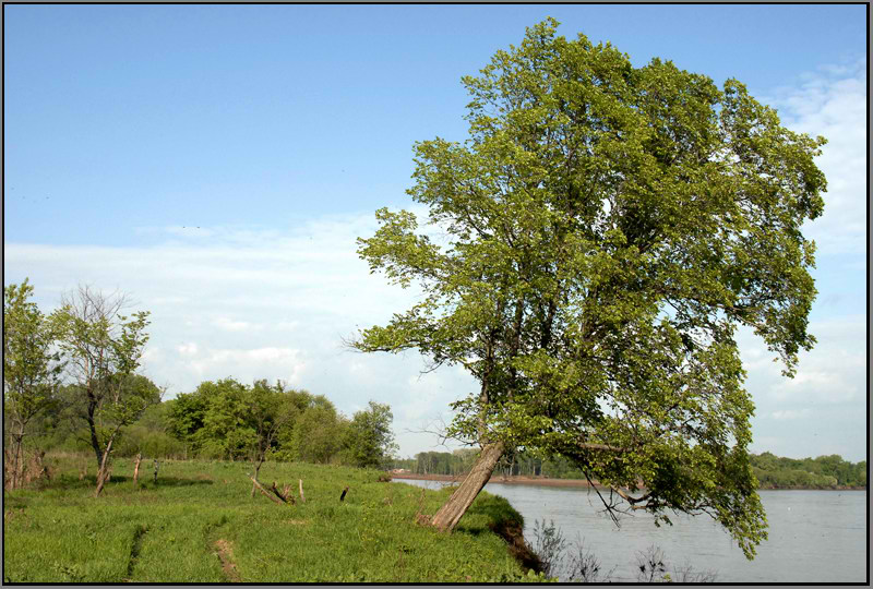 фото "Уфимка.Под  вечер..." метки: пейзаж, весна