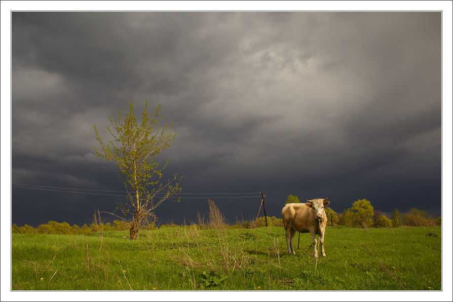 photo "after rain" tags: landscape, clouds, spring