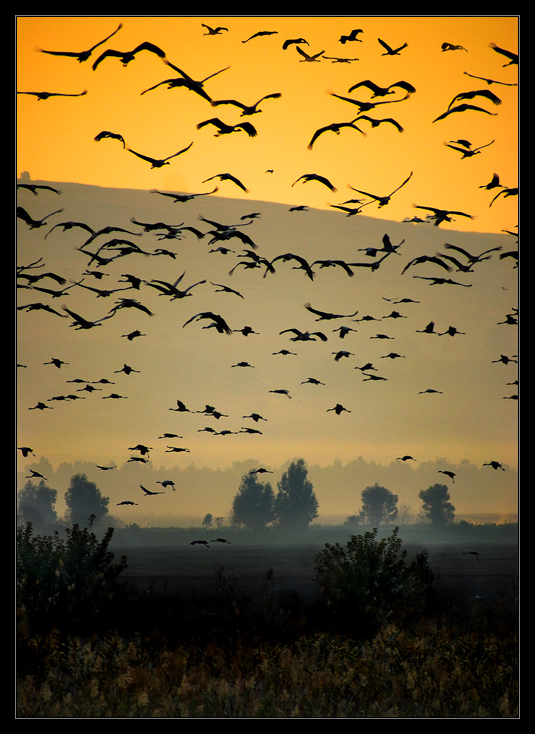 фото "***" метки: пейзаж, природа, дикие животные