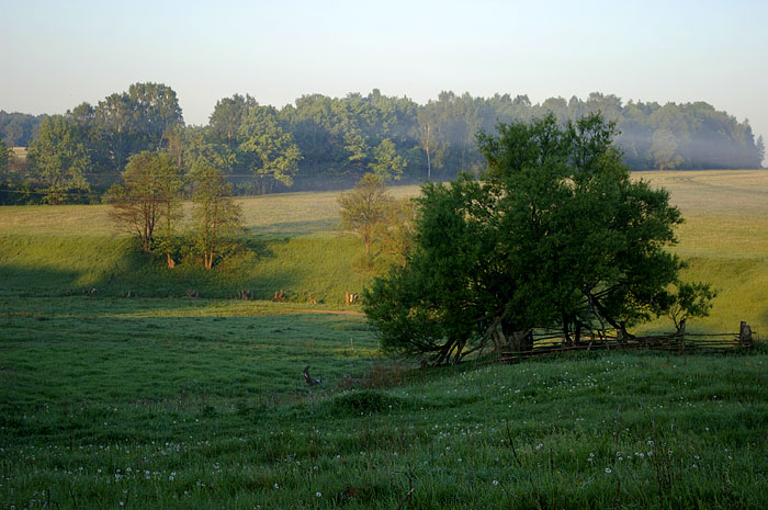 photo "***" tags: landscape, spring