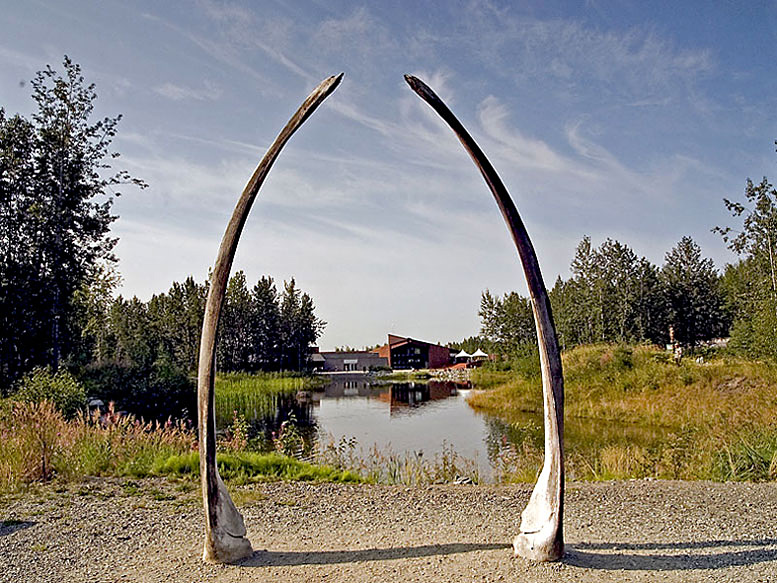 photo "Whale Jaw Bones" tags: nature, wild animals