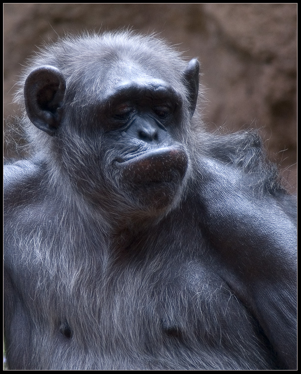 photo "***" tags: nature, travel, Europe, wild animals