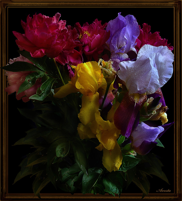 photo "bouquet" tags: nature, flowers