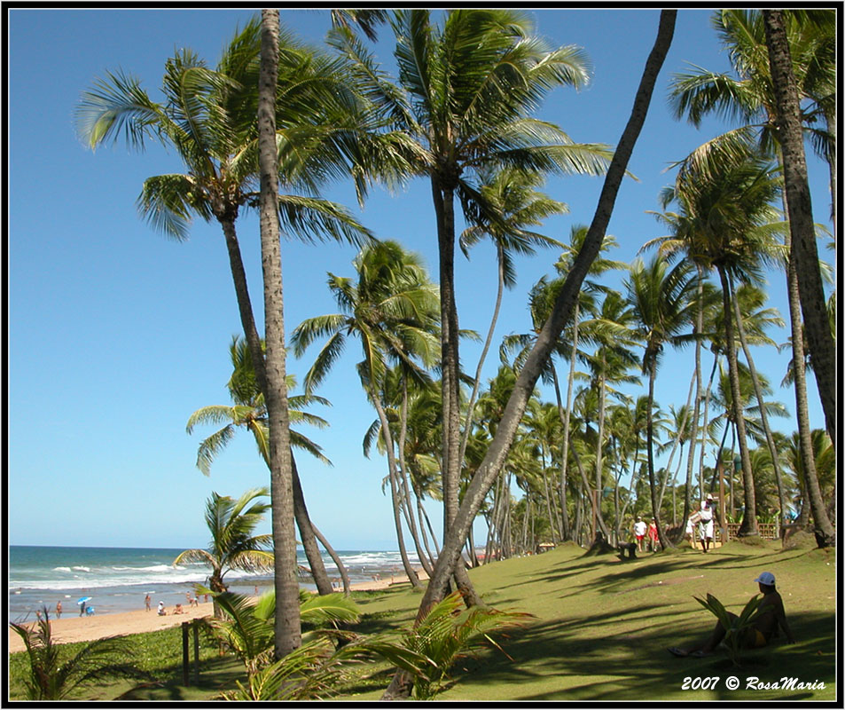 photo "Vilas do Atlantico" tags: landscape, travel, South America, water