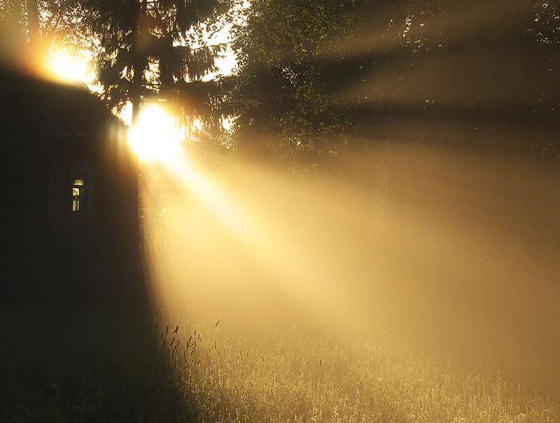 photo "Insight" tags: landscape, summer, sunset
