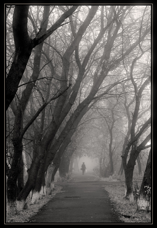фото "Одинокие шаги" метки: город, черно-белые, 