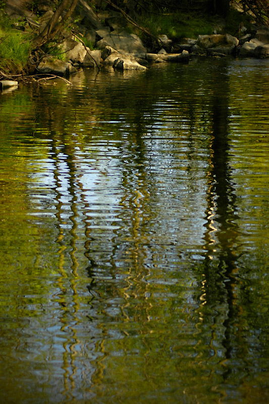 фото "...color reflections..." метки: пейзаж, природа, вода, цветы