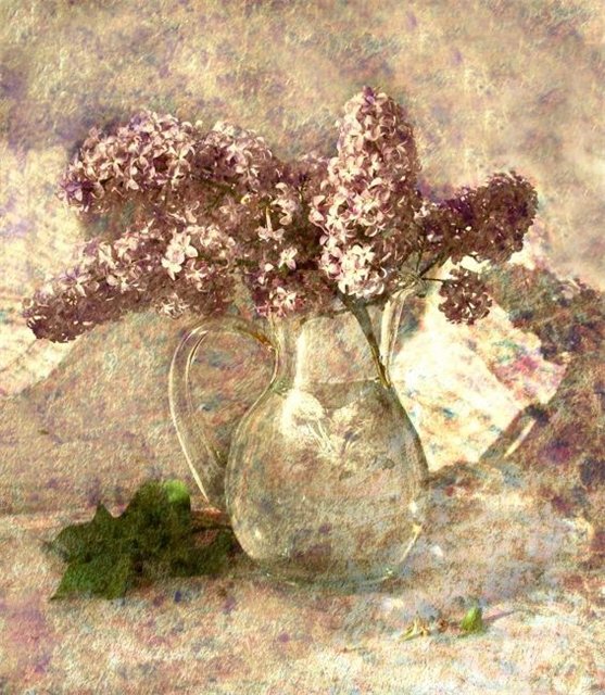 photo "***" tags: still life, 