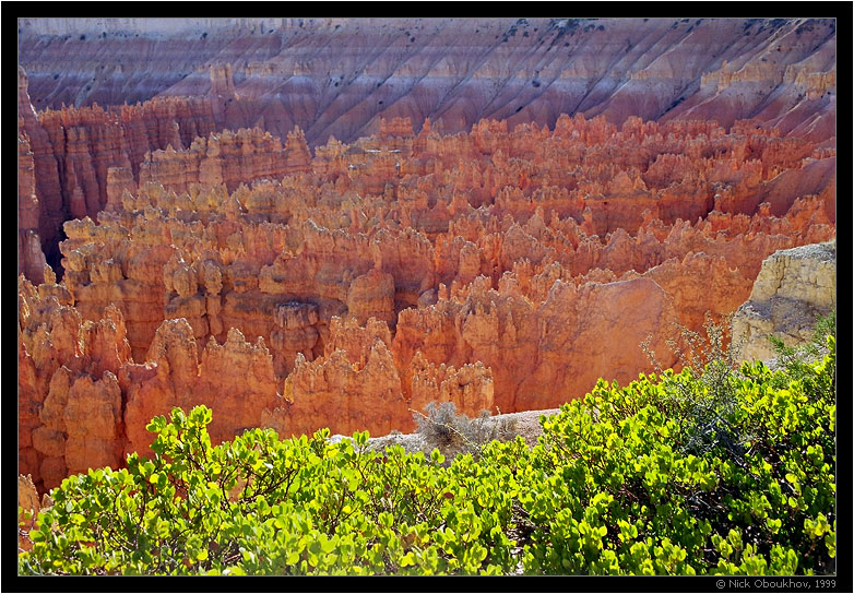 фото "Bryce Canyon / 058-14" метки: путешествия, пейзаж, Северная Америка, скалы