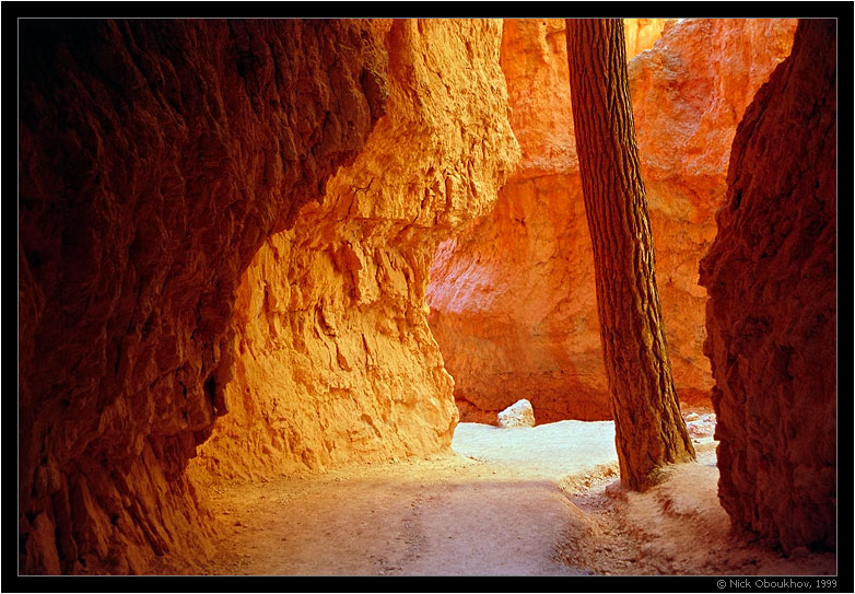 photo "On a trail / 058-27" tags: travel, landscape, North America