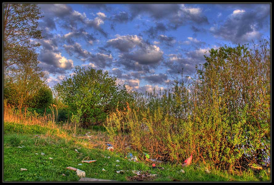 photo "garbage" tags: landscape, genre, 