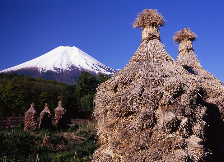 photo "Rice Bales" tags: landscape, mountains