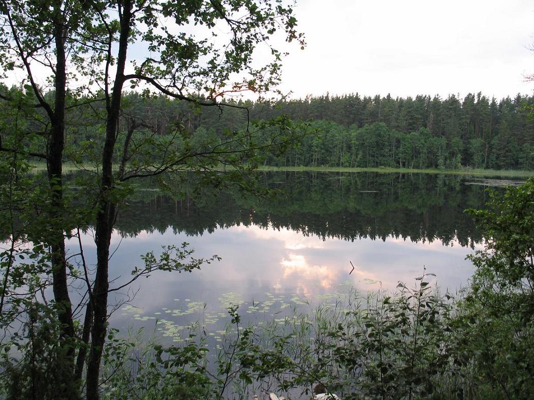 фото "вечер на озере" метки: пейзаж, лето