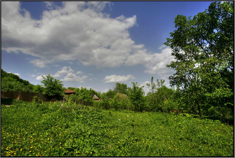 фото "Вдали от шума городского..." метки: пейзаж, лето